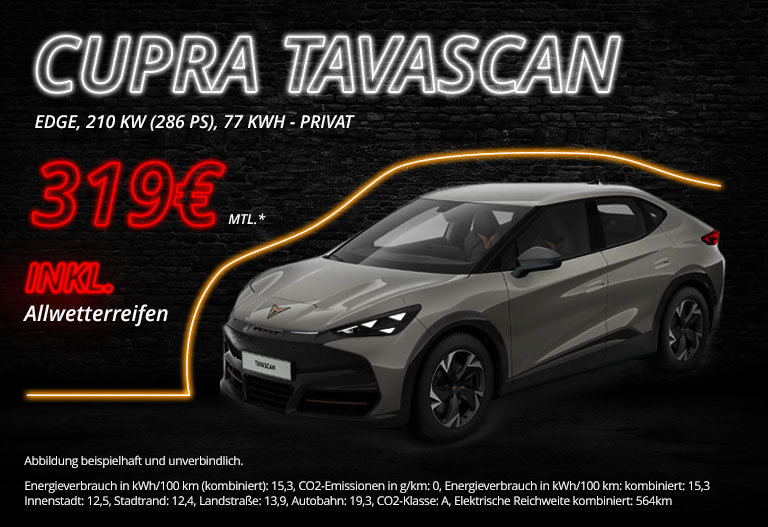 cupra-tavascan-autobilligkaufen-de-privat-02 cupra-tavascan-autobilligkaufen-de-privat-02
