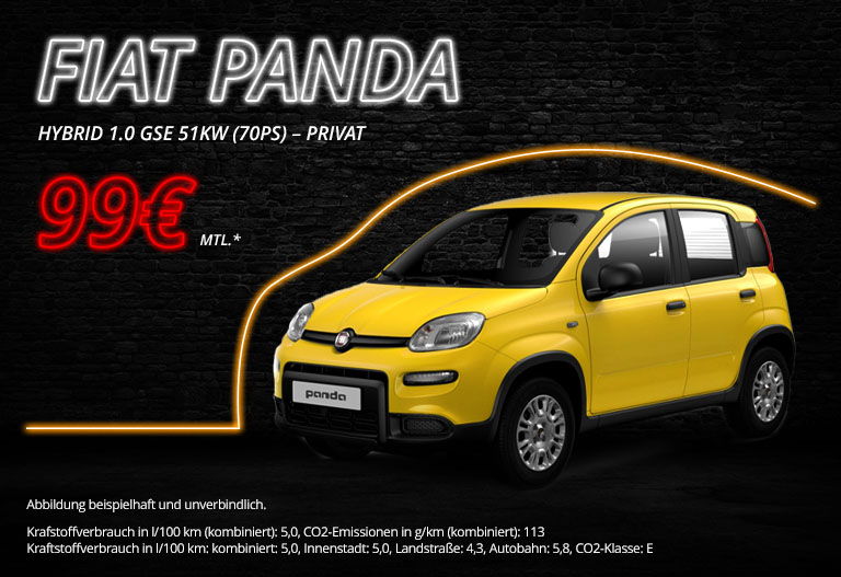fiat-panda-autobilligkaufen-de-privat-02 fiat-panda-autobilligkaufen-de-privat-02